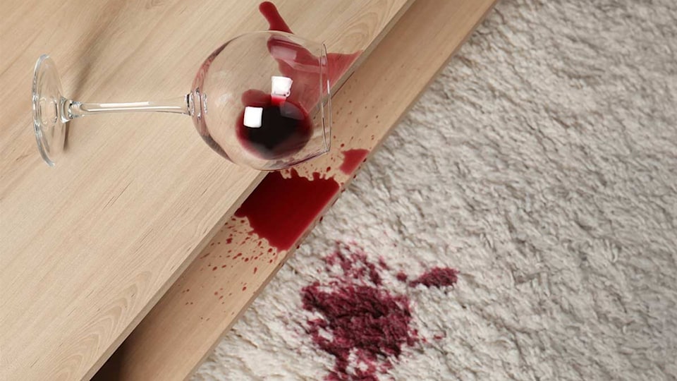 Transform Your Carpets: The Best Carpet Cleaners For a Spotless Home