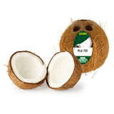 ASDA Refreshing Crunchy Coconut imported from the UK