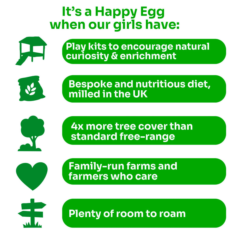 The Happy Egg Co free range eggs 6 large (British brand)