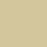 The Little Greene Paint Company Absolute Matt Emulsion Tester Pot