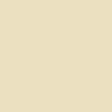 The Little Greene Paint Company Absolute Matt Emulsion 2.5L