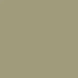 The Little Greene Paint Company Absolute Matt Emulsion Tester Pot