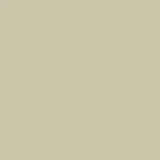 The Little Greene Paint Company Absolute Matt Emulsion 2.5L