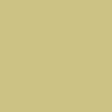 John Lewis The Little Greene Paint Company Intelligent Matt Emulsion Strong Greens 2500ml- Buy online at McGrocer