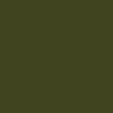 The Little Greene Paint Company Intelligent Eggshell Strong Greens Paint 1000ml