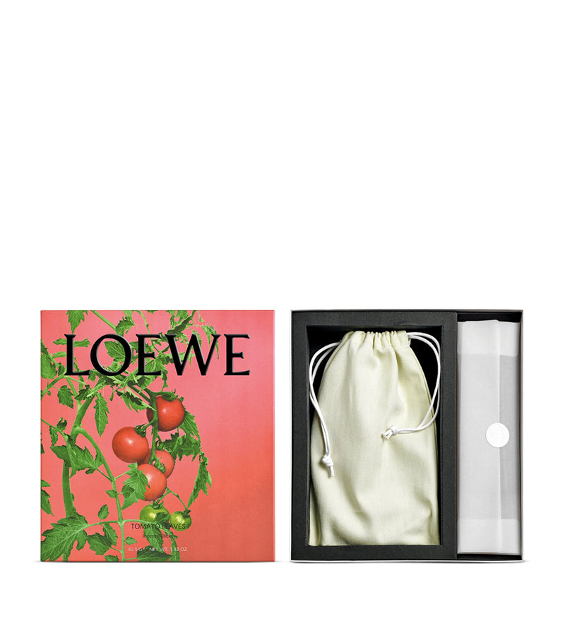 LOEWE Tomato Leaves incense 25 sticks and holder, UK version