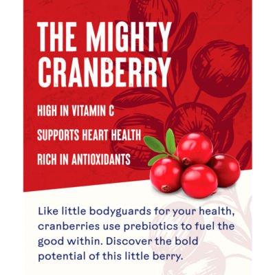 Ocean Spray no added sugar cranberry juice 1L, imported from the UK