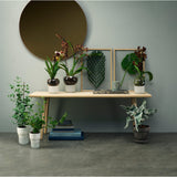 Eva Solo self-watering pot frosted (British brand)