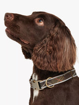 John Lewis Barbour Reflective Tartan Dog Collar- Buy online at McGrocer