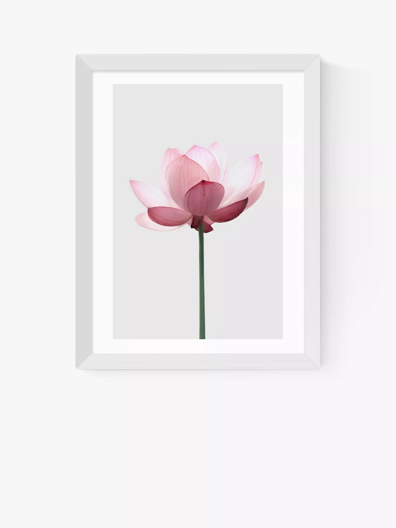 EAST END PRINTS Sisi and Seb 'Lotus' Framed Print - Black Frame 83.4 x 63.4cm