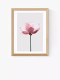 EAST END PRINTS Sisi and Seb 'Lotus' Framed Print - Oak Frame 43.4 x 33.4cm