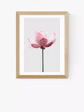 EAST END PRINTS Sisi and Seb 'Lotus' Framed Print - Oak Frame 43.4 x 33.4cm