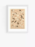 East End Prints framed cat print 30x40cm - British product