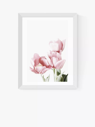 John Lewis EAST END PRINTS Sisi and Seb 'Tulips' Framed Wall Art, White Frame- Buy online at McGrocer