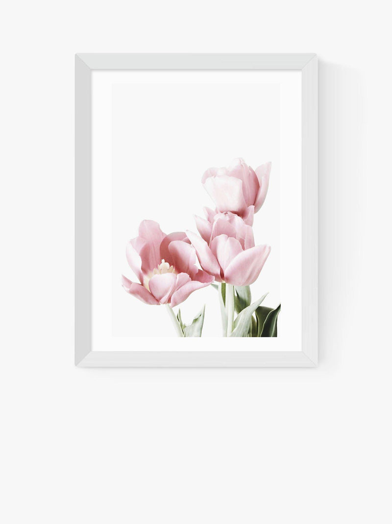 EAST END PRINTS Sisi and Seb 'Tulips' Framed Print, White Frame