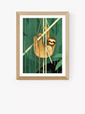 East End Prints framed sloth print Dieter Braun 60x80cm - British product