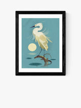 John Lewis EAST END PRINTS Dieter Braun Little Egret Framed Print 40x50cm- Buy online at McGrocer