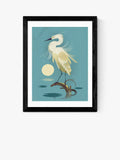 East End Prints framed print Little Egret by Dieter Braun 40x50cm (British brand)