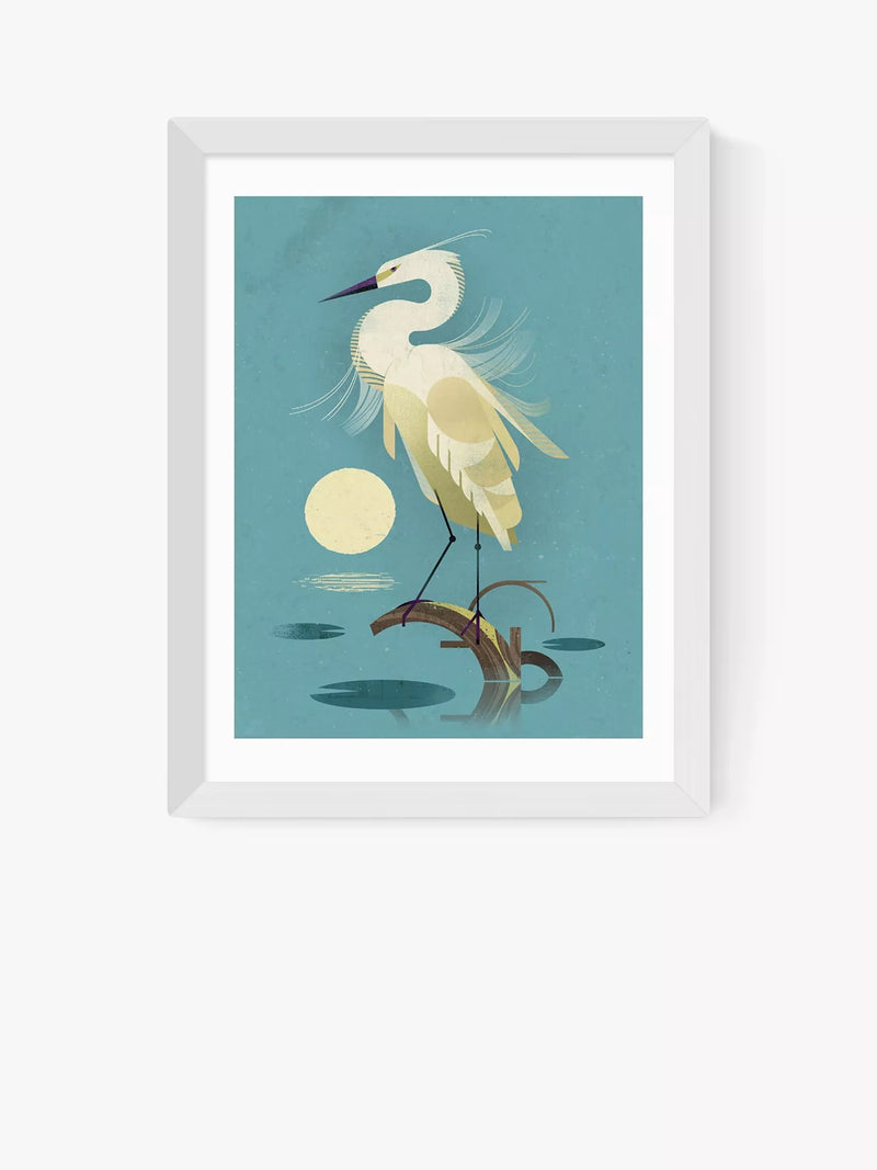 EAST END PRINTS Dieter Braun Little Egret Framed Print 40x50cm