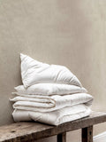 Piglet in Bed merino wool organic duvet single imported from the UK