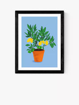 John Lewis EAST END PRINTS Sifa Mustafa 'When Life Gives You Lemons' Framed Print, 33.4 x 28.4cm- Buy online at McGrocer