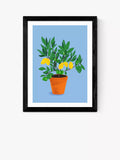 East End Prints framed print lemon illustration 33.4x28.4 cm - British product
