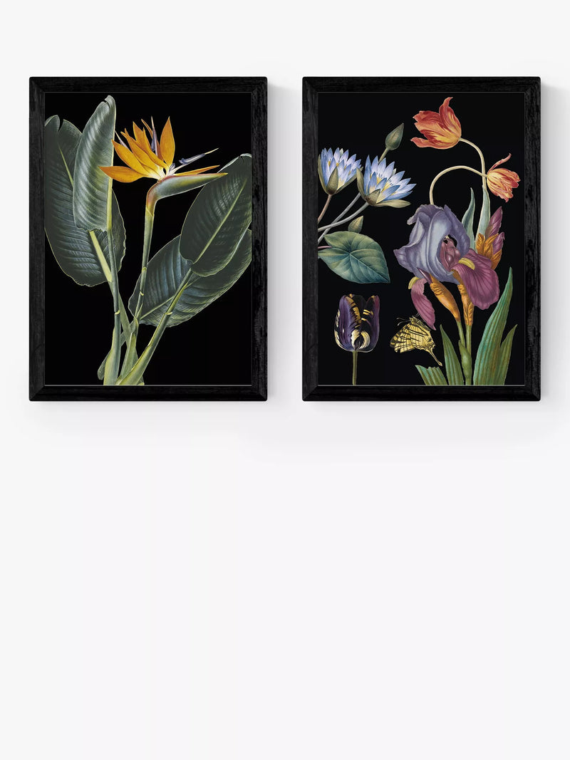 EAST END PRINTS Natural History Museum 'Dark Floral' Framed Print, Set of 2 - Black Frame A2