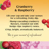 Twinings cranberry and raspberry herbal tea bags 20 tea bags 40g (British brand)