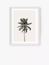John Lewis EAST END PRINTS Sisi and Seb 'Palm Tree I' Framed Print, 40x50cm- Buy online at McGrocer