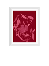 John Lewis EAST END PRINTS Herald Black 'Red Foliage' Framed Print- Buy online at McGrocer