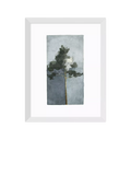 EAST END PRINTS Jörgen Hansson 'Pine II' Framed Print, White Frame, 43.4 x 33.4cm