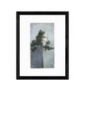 East End Prints Jörgen Hansson Pine II framed print small size (British brand)