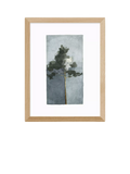 EAST END PRINTS Jörgen Hansson 'Pine II' Framed Print, Oak Frame, 33.4 x 28.4cm