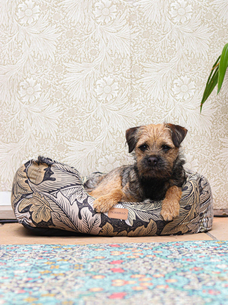 Morris & Co Acanthus pet bed reversible cushion (British brand)