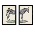 EAST END PRINTS framed print set zebra bird 45.4x33.1cm, UK version
