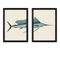 East End Prints Natural History Museum Swordfish Framed Print Set of 2