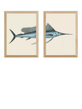 East End Prints swordfish framed print set medium, imported from the UK