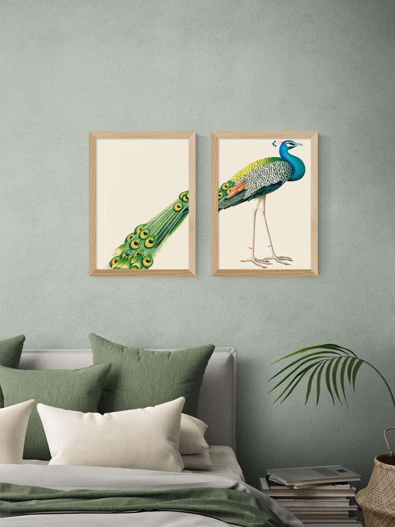 East End Prints peacock framed print set 62.8x45.4cm, imported from the UK