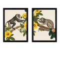 Ensemble d'impressions encadrées EAST END PRINTS de singes 62,8 x 45,4 cm (marque britannique)