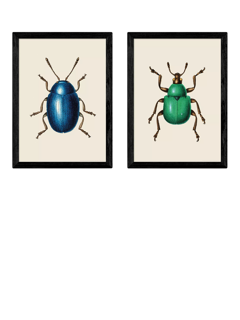 EAST END PRINTS beetle framed art print set of 2 62.8x45.4cm - British product
