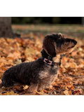 Pampeano Hermoso pink leather dog collar 35cm - British product