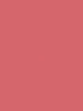 The Little Greene Paint Company Absolute Matt Emulsion 2.5L