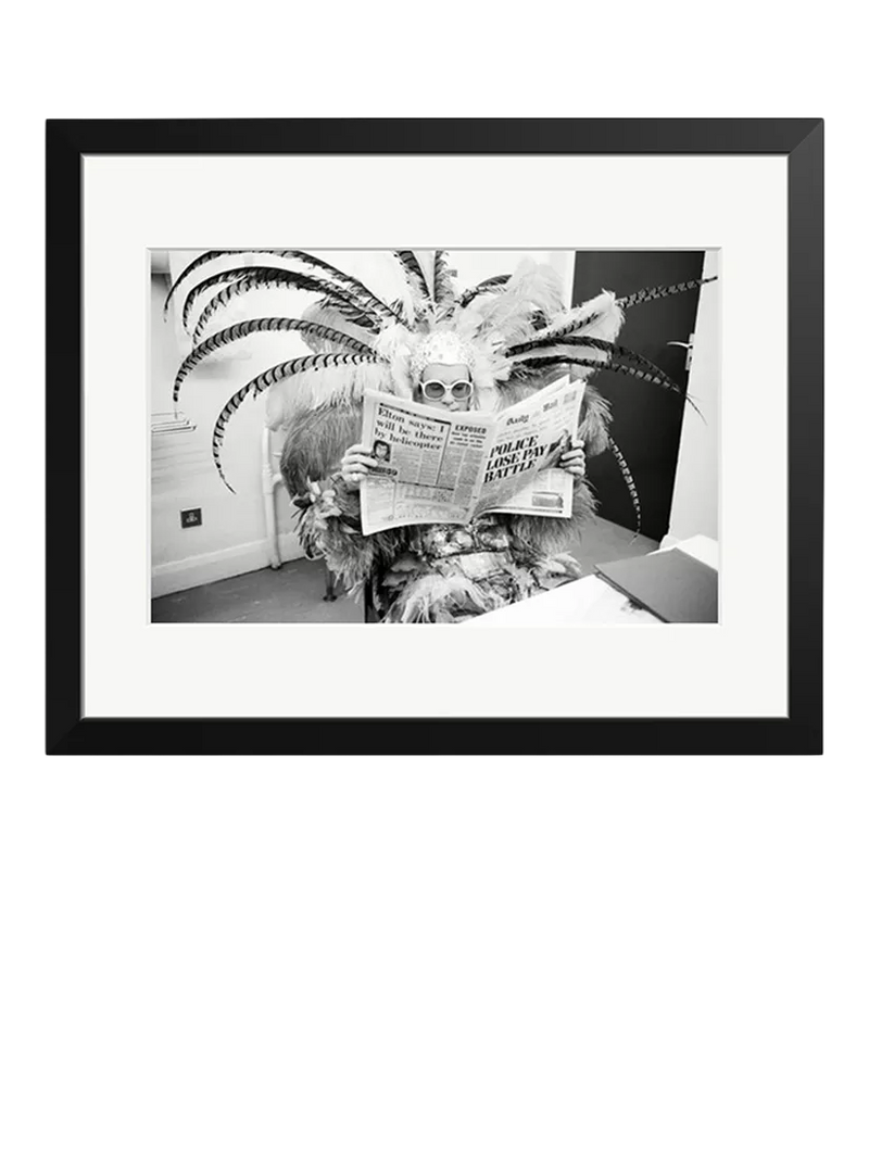 Sonic Editions Elton John framed print (British brand)