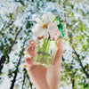 Marc Jacobs Daisy Wild perfume bottle 30ml, imported from the UK