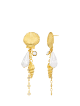 John Lewis Orelia Statement Shell and Pearl Drop Earrings, Pale Gold- Buy online at McGrocer