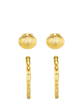 Orelia earring set shell stud and molten hoop pale gold (British brand)