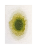 Louis De Poortere Drop rug green 140x200cm, imported from the UK