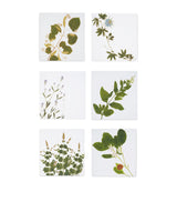 Harrods Summerill & Bishop Tisane Herb Garden Linen Napkins Set of 6 50cm x 50cm- Buy online at McGrocer