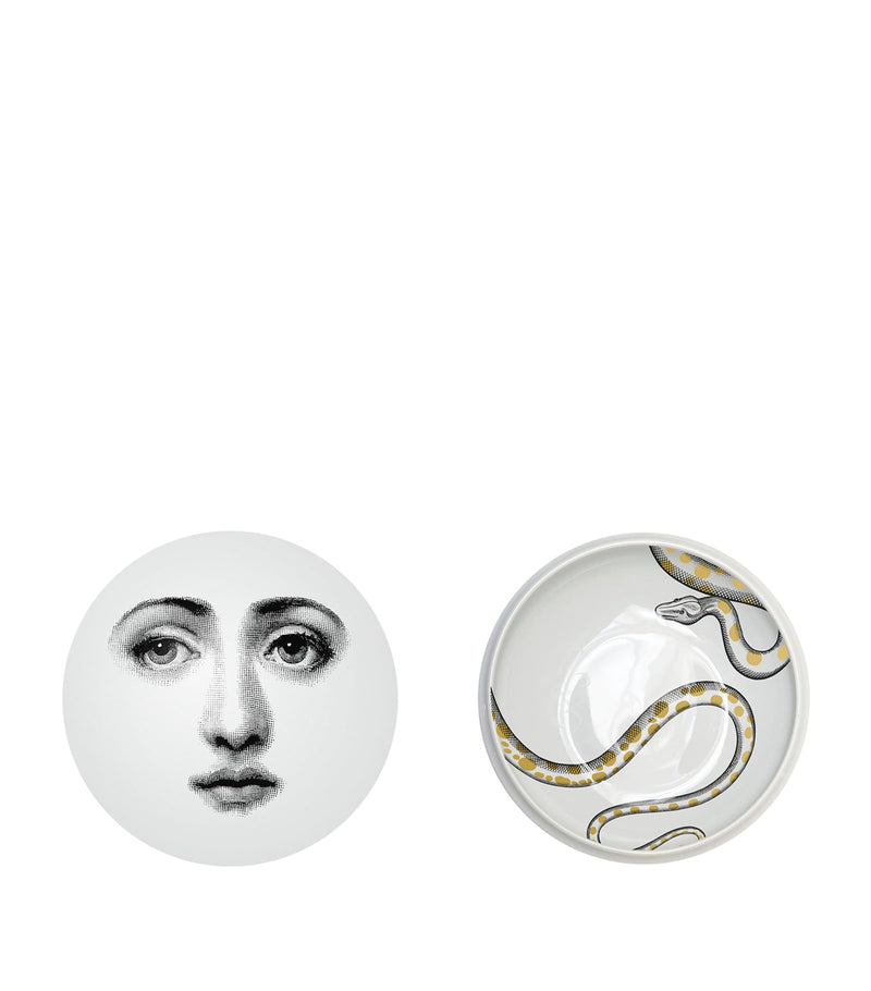 Fornasetti porcelain round box with snake design, 4cm height and 10.5cm diameter - British product