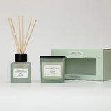 Superdrug French Connection Mango Mojito Reed Diffuser 100ml and Scented Candle 220g Gift Set- Buy online at McGrocer